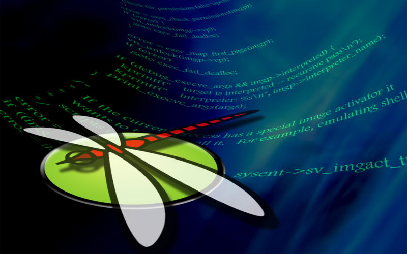 /img/post/DragonflyBSD.png